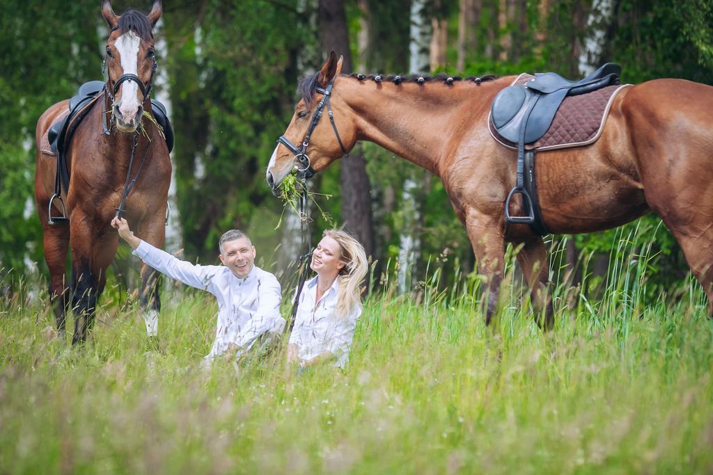 Hubertus Aparthotel & Restaurant & Horse Club Starogard Gdanski Room photo